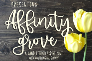 Affinity Grove: The Script Font for Scroll-Stopping Brand Identity