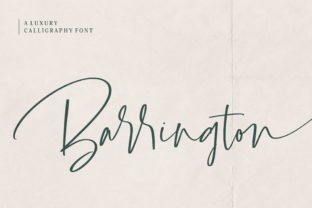 Barrington: A Designer’s Honest Review of This Script Amp
