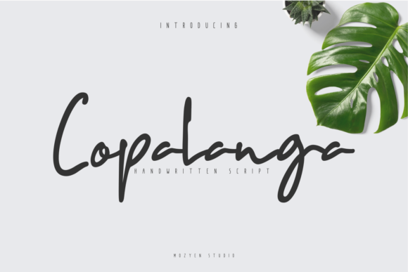 Copalanga Review: A Designer’s Take on This Script Amp